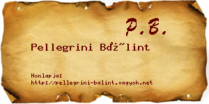 Pellegrini Bálint névjegykártya